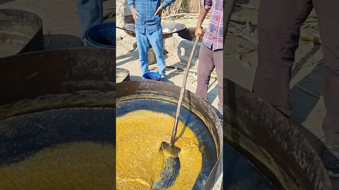 Ganna sai Desi Gur Kaisa banta hai. Video pura dekhna.#punjab #explore #travel #vlog