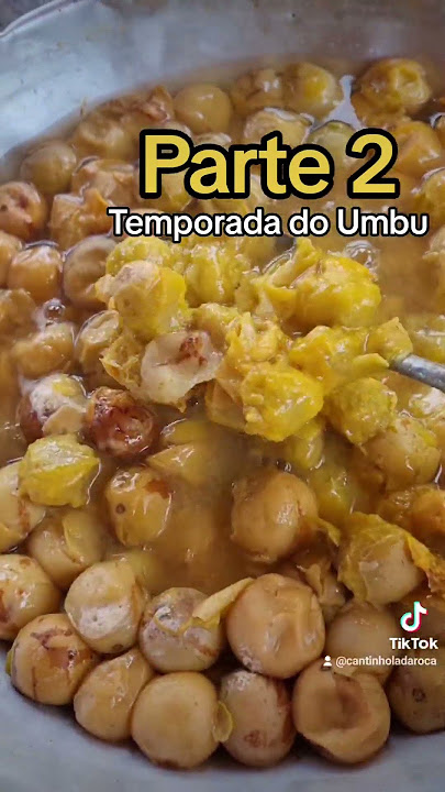 Extraindo a polpa do Umbu Parte2 #interiorsp #vidanaroça #simplicity #explorar #umbu