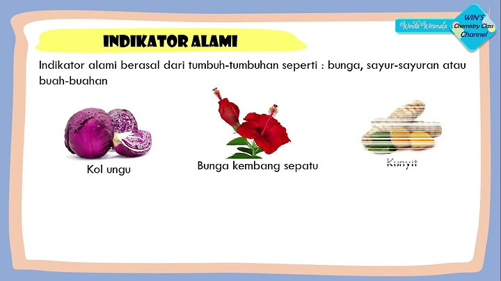 Berikut ini contoh zat dalam kehidupan sehari hari yang dapat membirukan kertas lakmus merah adalah