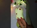 make animal planter with my garden🥰😍