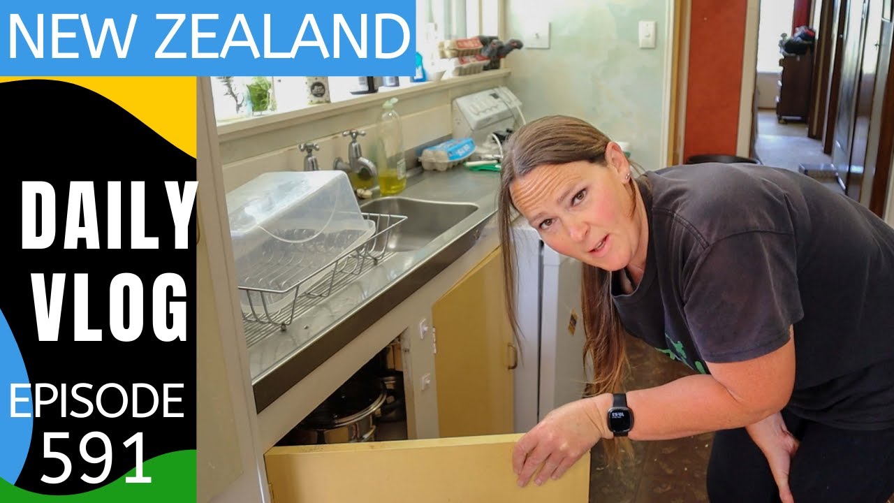A kitchen de-clutter! [Life in New Zealand Daily Vlog #591] - YouTube