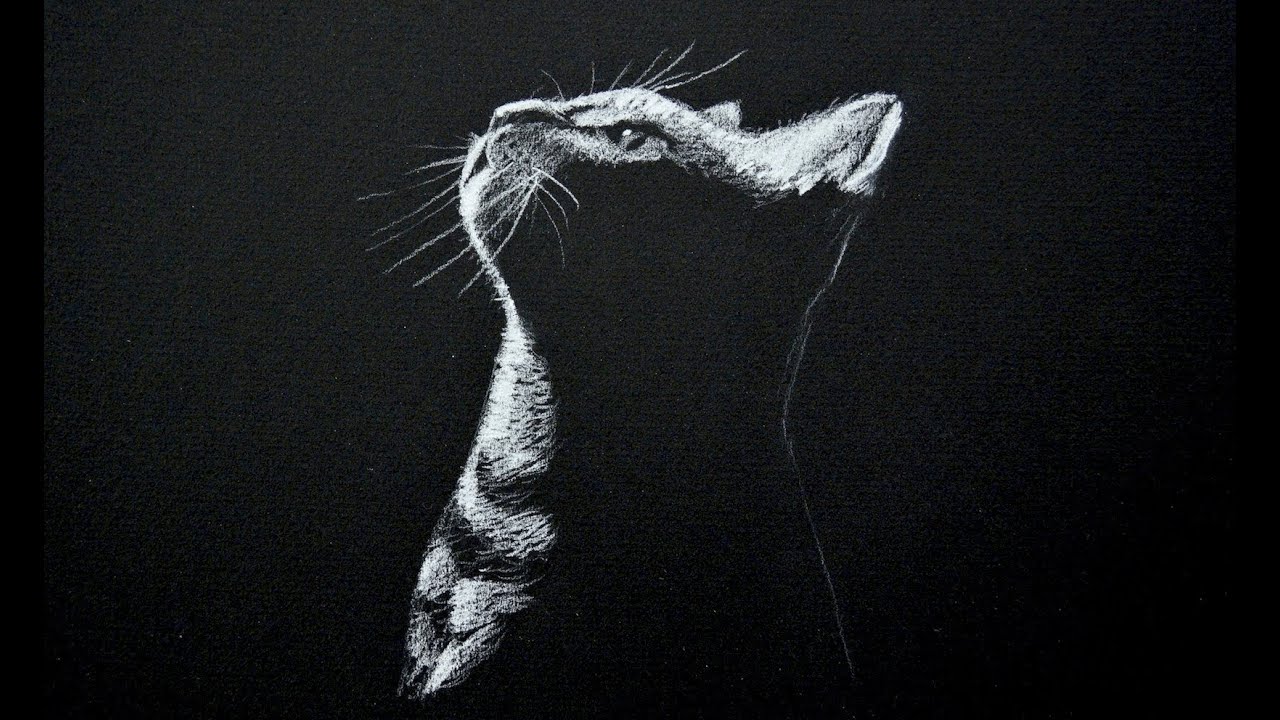 ⁣Drawing a Cat - White on Black Paper - Time Lapse