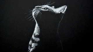 drawing cat negro drawings paper con sobre kitten blanco chalk draw papel dibujo charcoal tiza animal pencil gato illustration simple