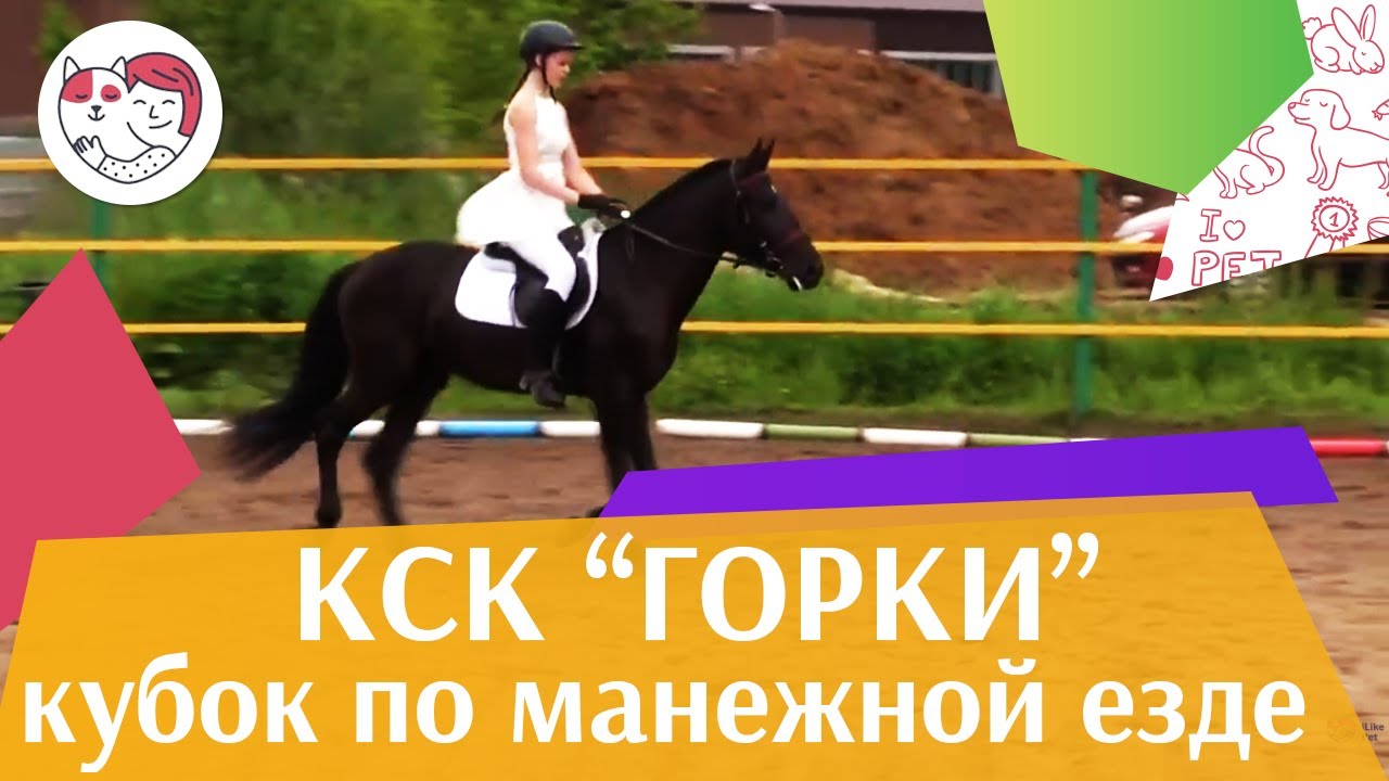 питомцы кукол лол Летний кубок КСК Горки по манежной езде КЮР часть 11 на ilikepet