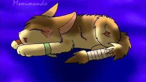 MAP paradise lost part 15 (for shizena2)