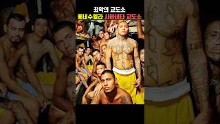 정말 착하게 살자 - 세계 최악의 교도소 베네수엘라 사바네타 교도소 #shorts