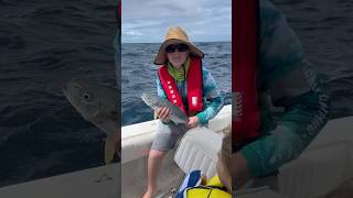 I caught a beautiful kingy in Broughton island