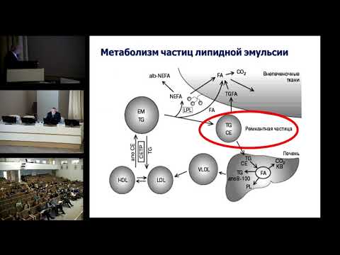 Макронутриенты и фармаконутриенты Шестопалов А.Е.