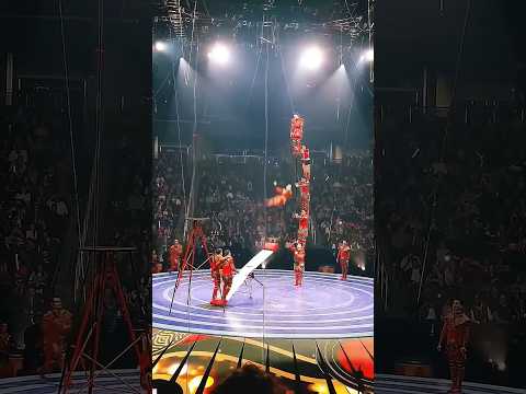 🤩Troupe Brothers Stunt: