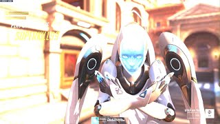 POTG Echo Whole Hog
