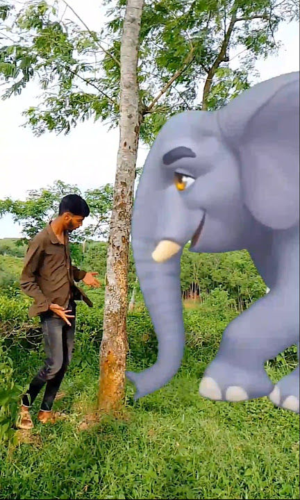 Hati Animals video  🙀😱🙀 #hati #shortsfeed