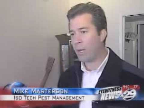 isotech-pest-management-"verminators"-take-on-bed-bugs-in-bakersfield,-california