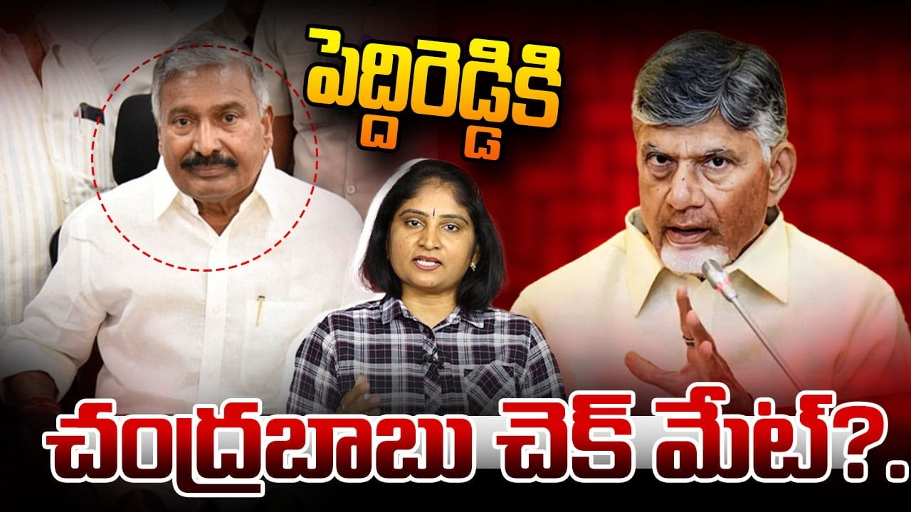 పెద్దిరెడ్డికి చంద్ర‌బాబు చెక్ మేట్? CM Chandrababu shocks to Peddireddy Ramchandra Reddy | Punganur