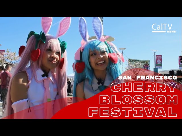 San Francisco Cherry Blossom Festival: A Bridge Between Two Countries