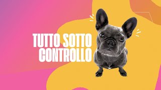 Sicuri di avere tutto sotto controllo?!