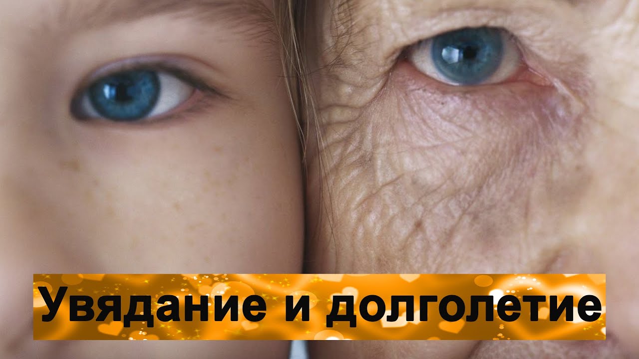 Увядание и долголетие - YouTube