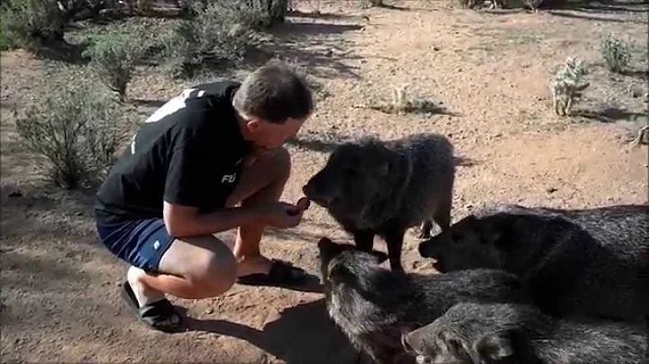 John and Pamela Russell's family of Javelinas