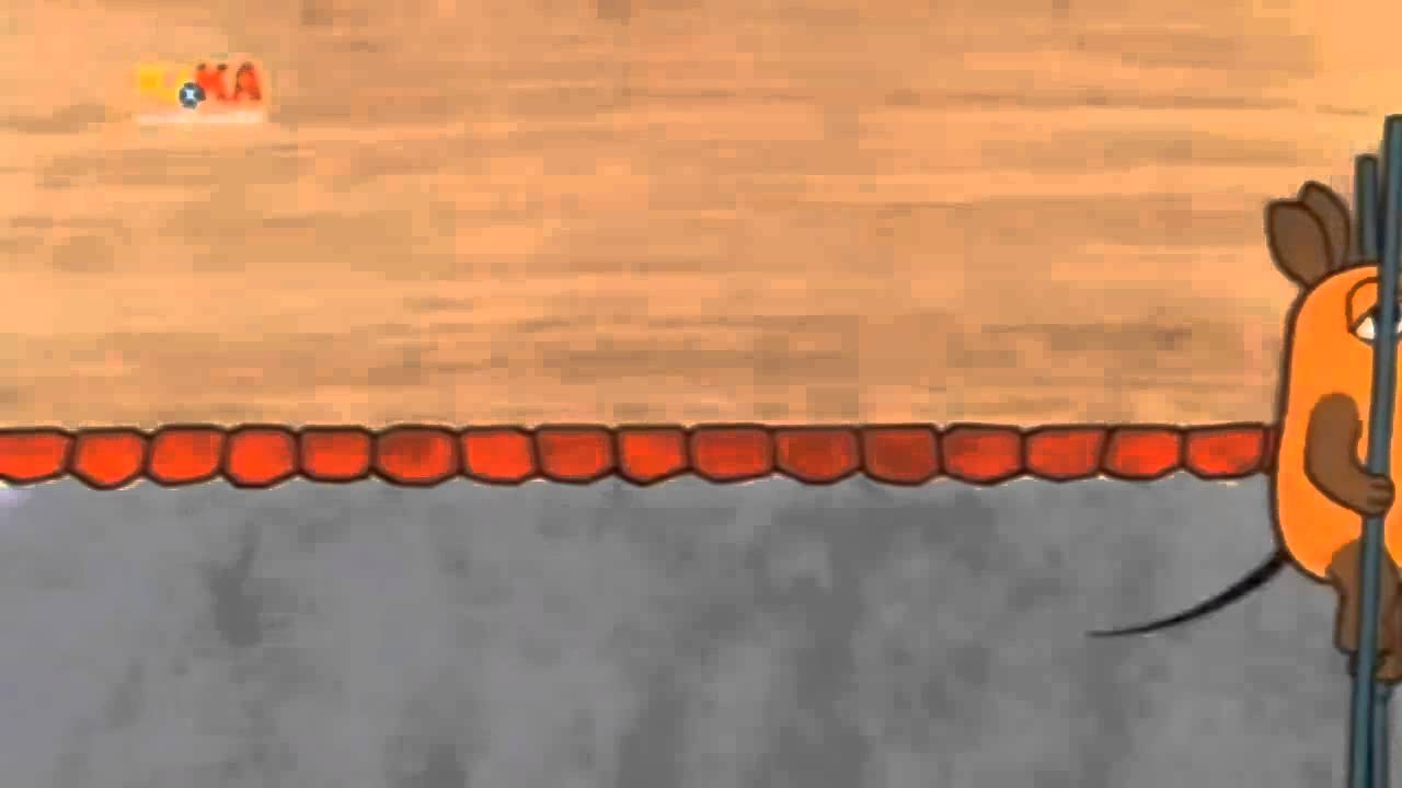 Sendung Mit Der Maus Aktuelle Folge