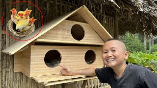 I Made a Bird's Nest Entirely Out of Wood - Pet's House - Mr Mao