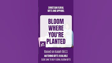 Pretty BLOOM WHERE YOU