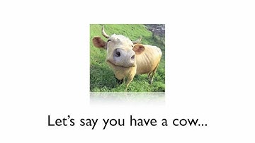 Idempotency in Cows and REST APIs