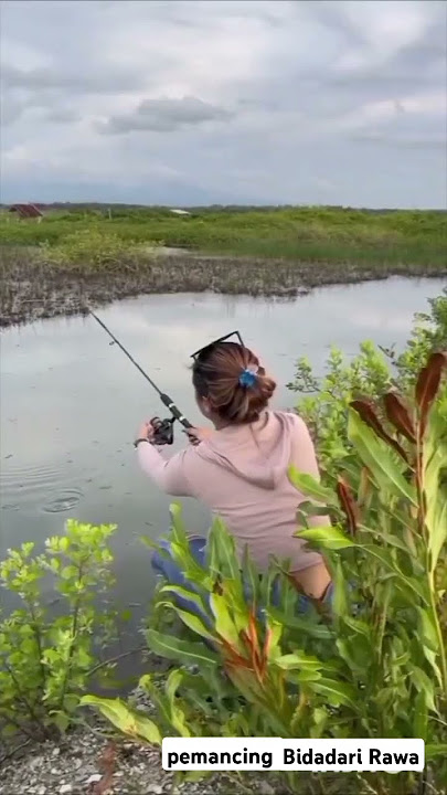 🌳 pemancing Bidadari rawa #mancingmania #bidadari #rawa