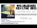 Noel Gallagher's High Flying Birds - Shoot A Hole Into The Sun