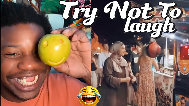 Video 6288601: compilation best funny, clean funny cat