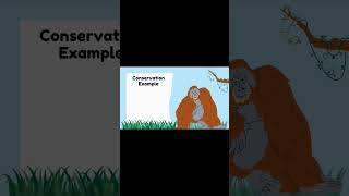 Shocking Extinction Facts That Will Blow Your Mind