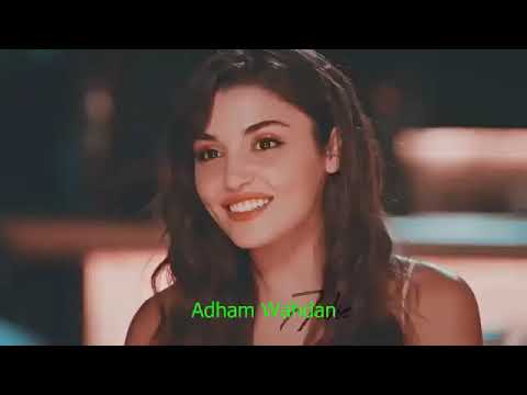 محمد منير امر الهوى قلبى