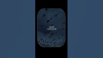 قريبٌ منك.. يسمعك ويستجيب دعائك 🥹✨|| القارئ يوسف المرهون