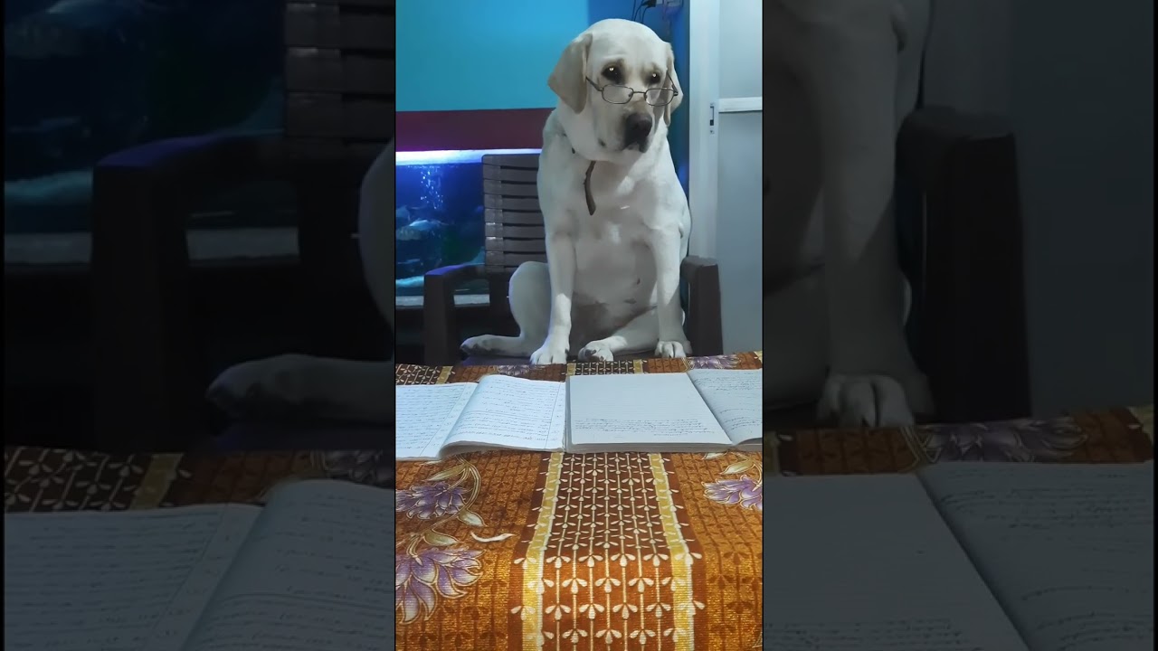 Padhai ka pressure 😖...|