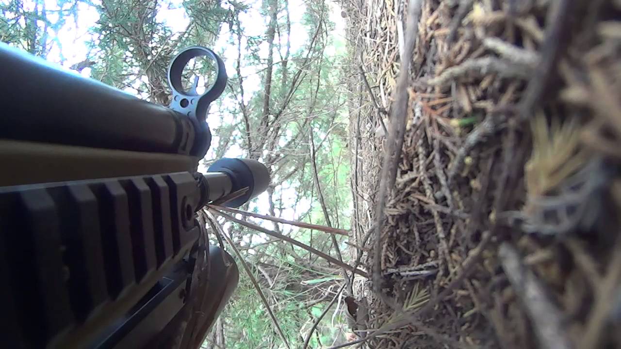 Custom g3 dmr - YouTube