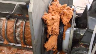 Sweet Potato Pulp