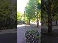 都議選練馬区