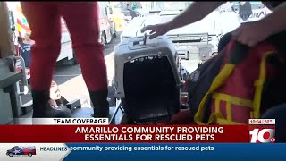 VIDEO: Amarillo community providing essentials for rescued pets