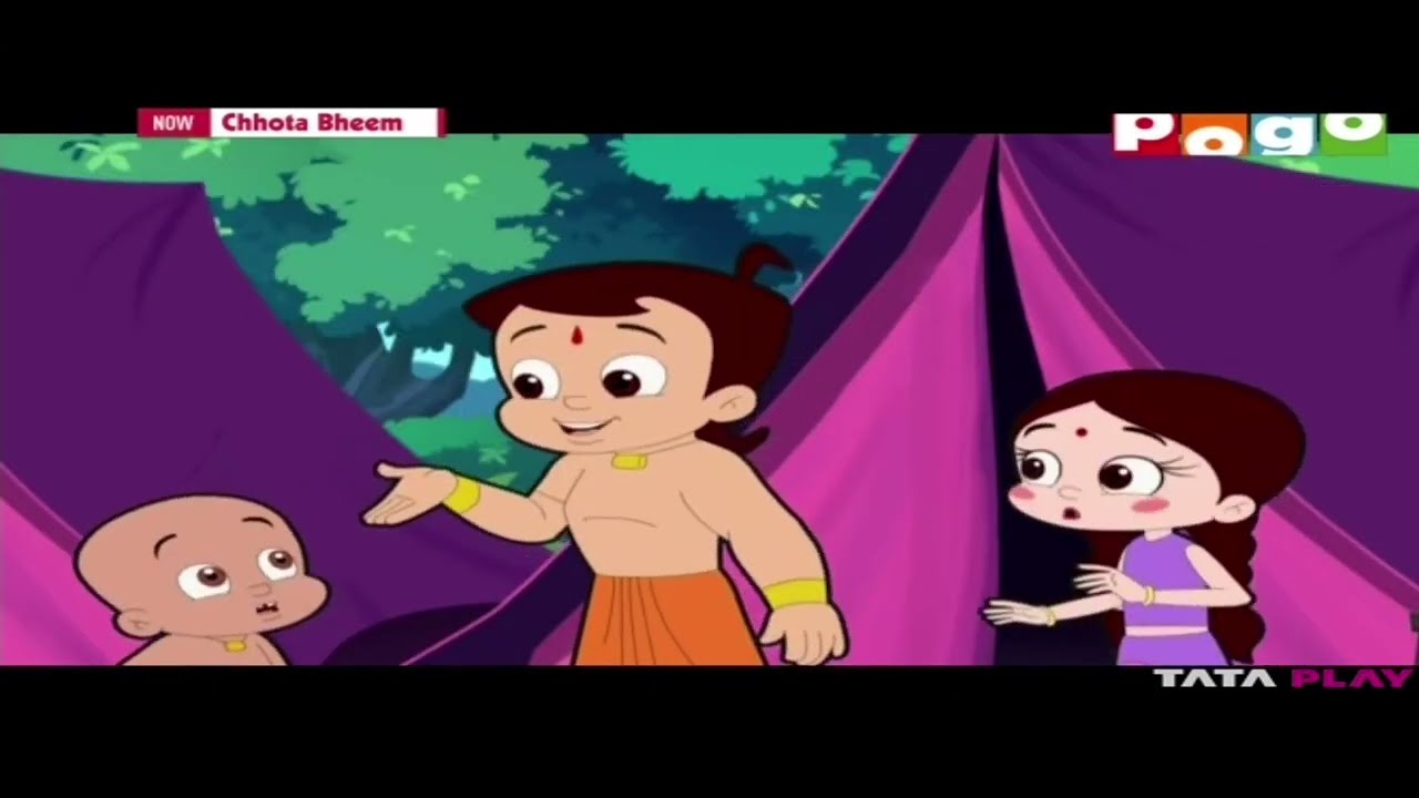 Pogo Continuity- November 2024