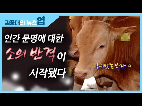 &amp;quot;인간 문명에 대한 <strong>소의</strong> 반격이 시작됐다&amp;quot;[난세의 역사]