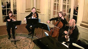The Interlude String Quartet