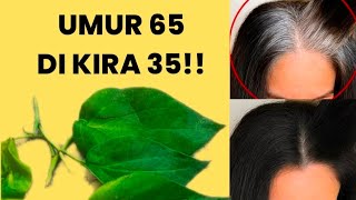 Magic Leaf!! Just Rub It On!! Turns Gray Hair Black Naturally Without Chemicals!!