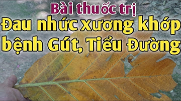 Bài thuốc trị Đau nhức xương khớp, bệnh Gút, Tiểu Đường. PHAN HẢI channel