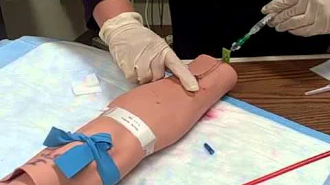 Cheryl Lange IV Video