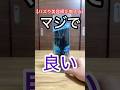 美容師が教えるコスパ最高なのに値段は600円の超優秀なやーつ
