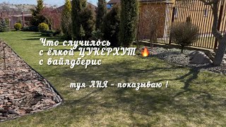 :      ""  ? |  ""    !