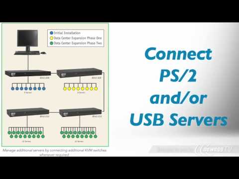 Product Tour: TRIPP LITE B042-008 8-Port 1U Rackmount USB/PS2 KVM Switch with On-Screen Display