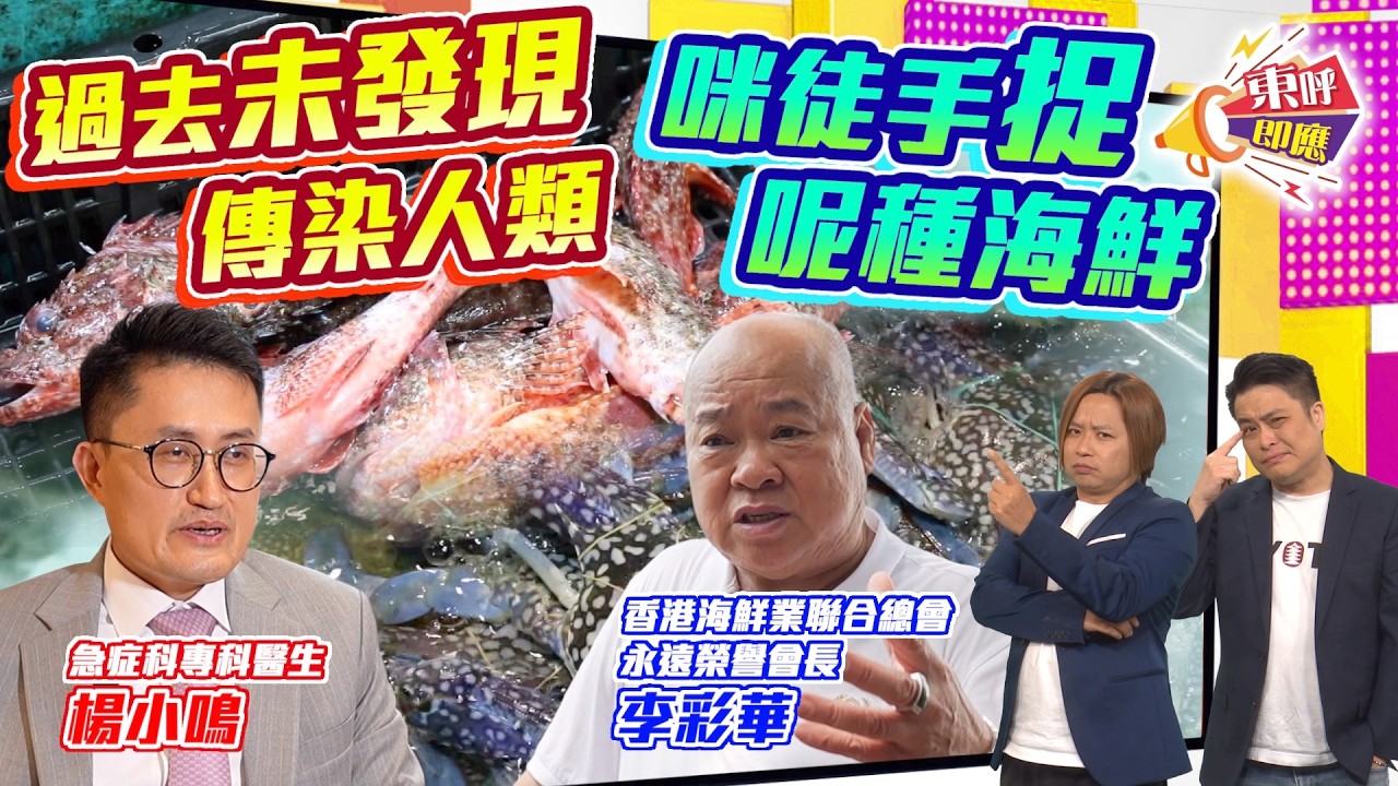 【on.cc東網】東呼即應:潮興撈海鮮暗藏致盲危機 新型病毒直接傳人 - YouTube