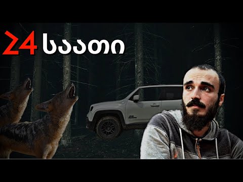 24 საათი ტყეში ჯიპით - უცნაური ხმა ღამით ! ცხოვრება ჯიპში