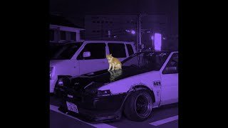 kitty phonk (slowed + reverb)