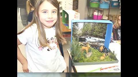 Grade 3 Habitat projects