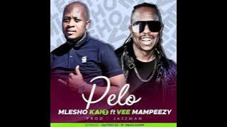 Mlesho Kai 1 ft. Vee Mampeezy - PELO